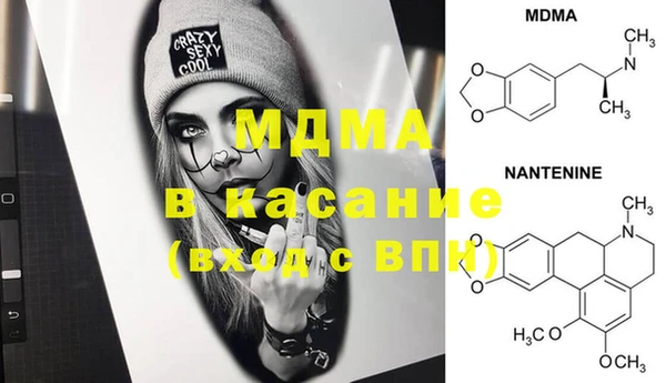 шишки Пересвет