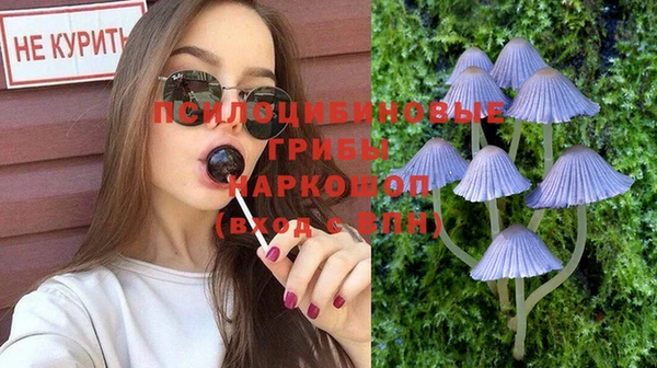 а пвп мука Переславль-Залесский