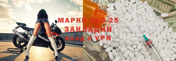 индика Абинск